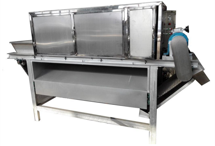 Automatic Garlic Separating and Chain Type Garlic Peeling Machine Line